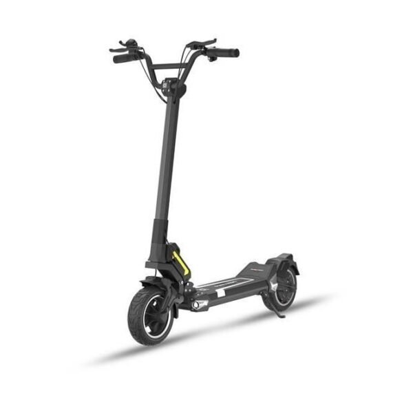 Trottinette électrique Minimotors DUALTRON Togo + 48V 15AH